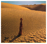 Desert Triangle To Rajasthan